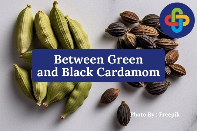 Here Are 4 Differences Between Green and Black Cardamom